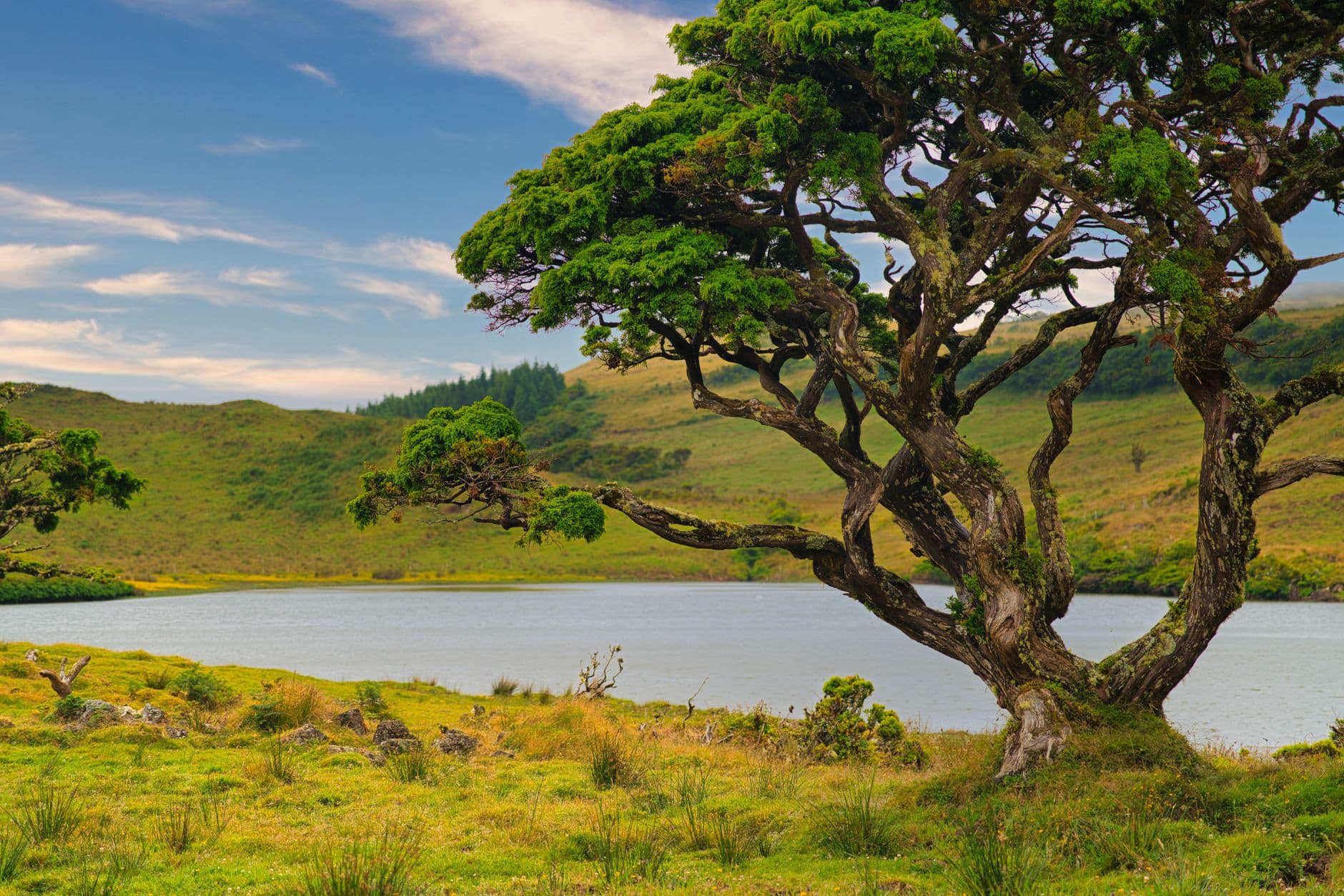 Paysage de la destination