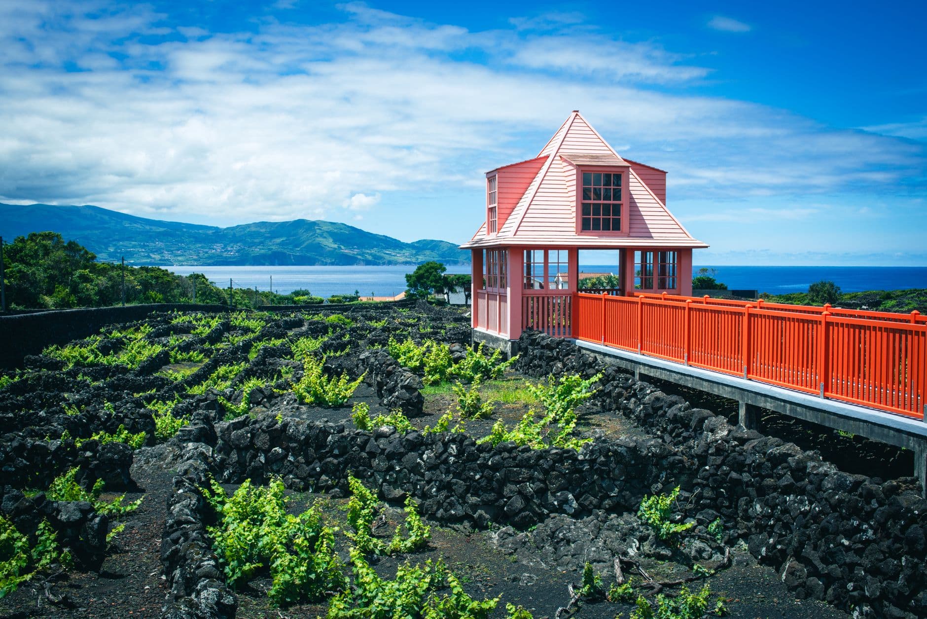 Le volcan Ponta do Pico dominant les vignobles de pierre noire de l'île